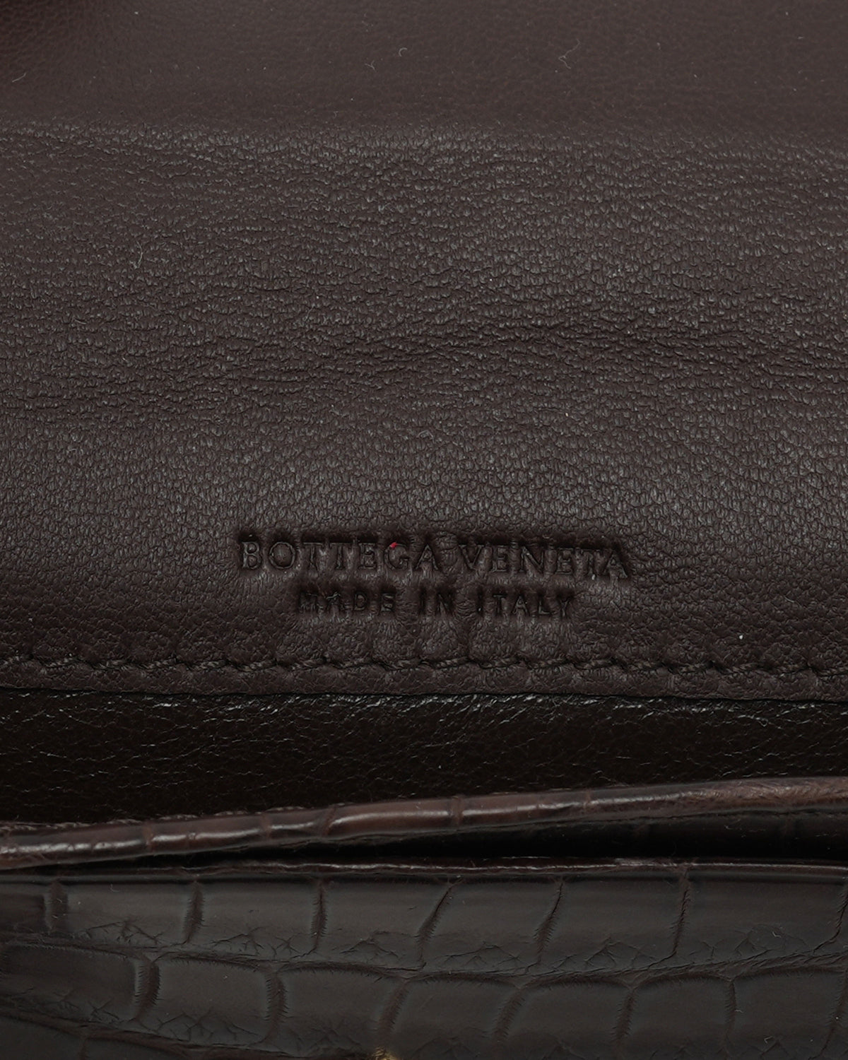Alligator Snap Wallet