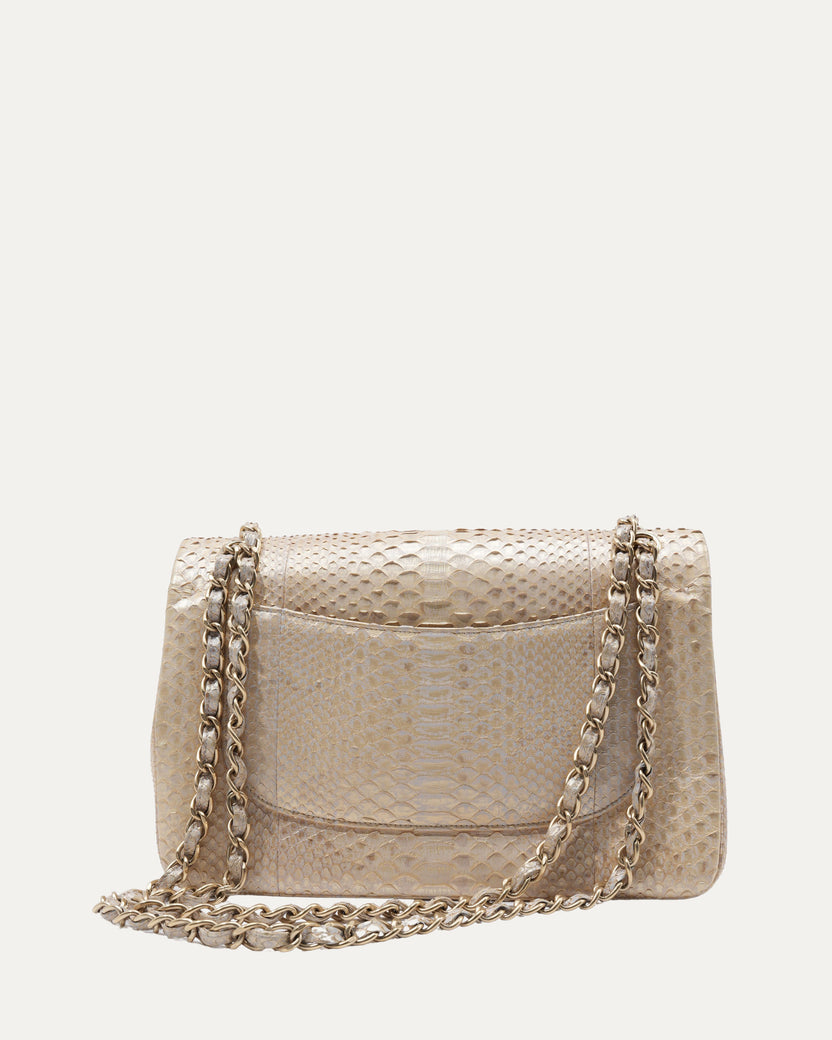 Python Clams Accordion Flap Bag