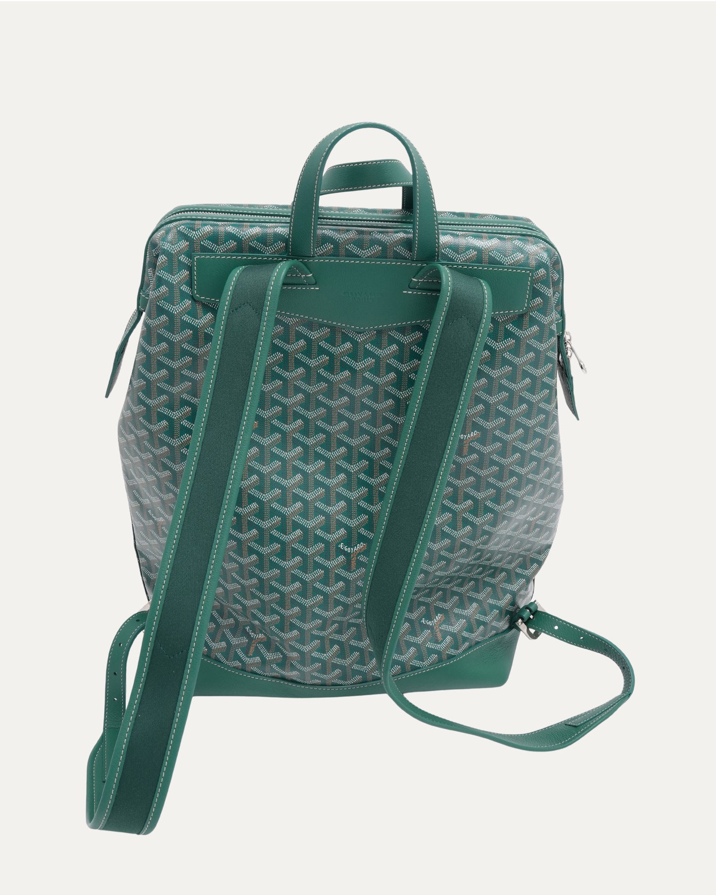Cisalpin Backpack