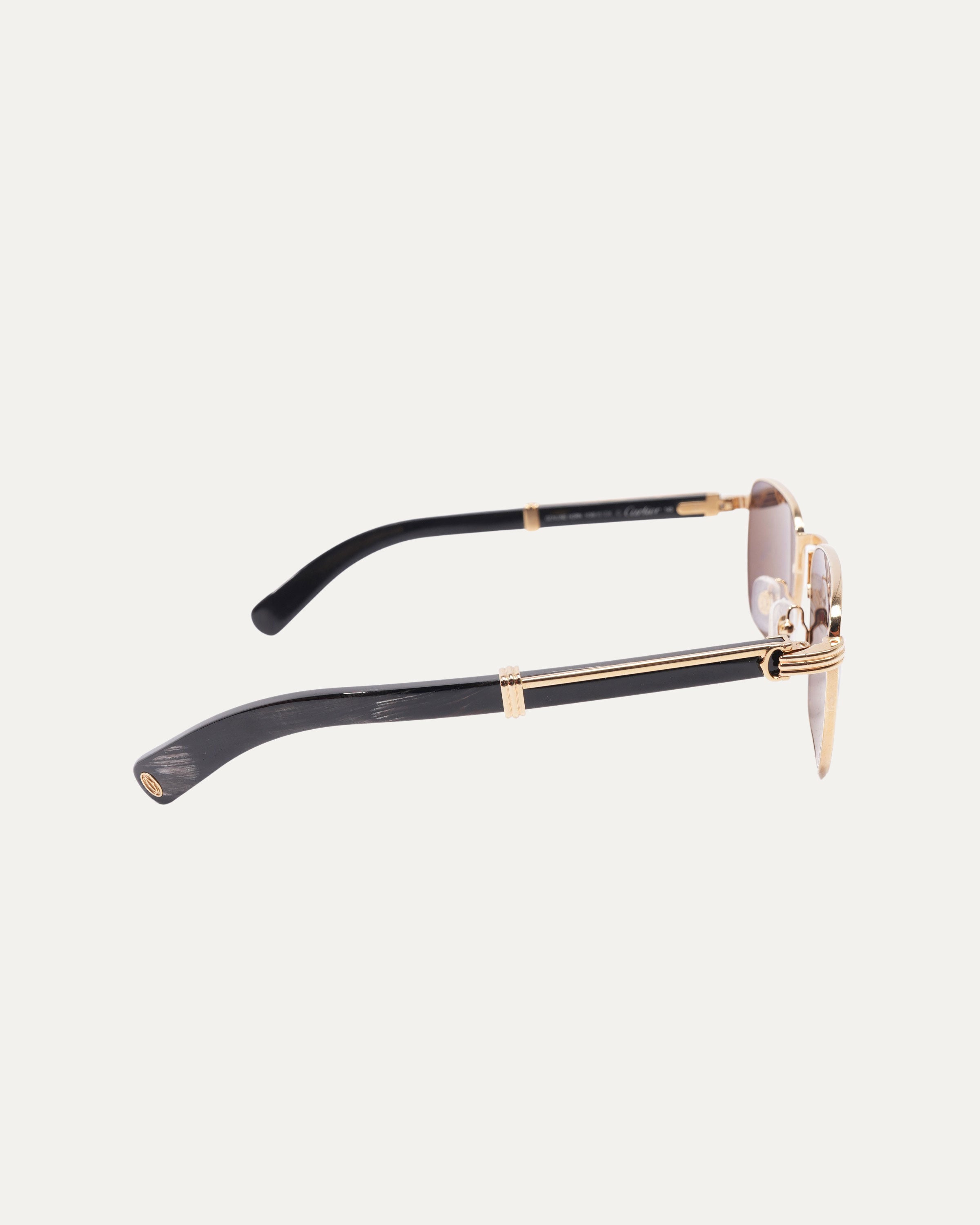 Buffalo Horn CT0363S Sunglasses