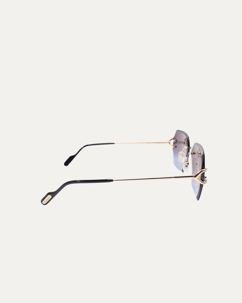 CT0466S Sunglasses