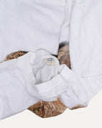 Teddy Bear T-Shirt
