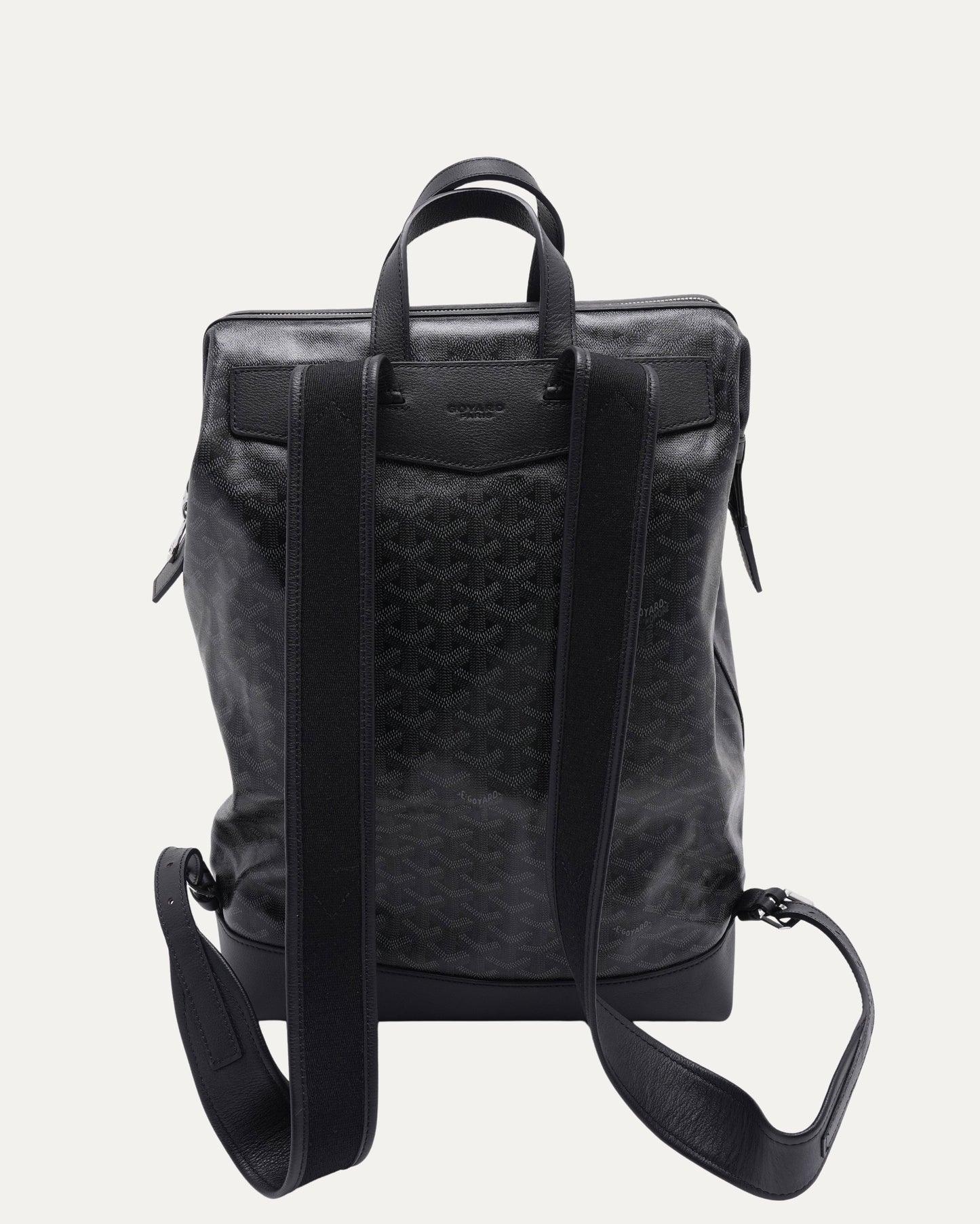 Cisalpin Backpack