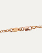 Gold Roll Chain Necklace