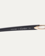 Buffalo Horn Sunglasses
