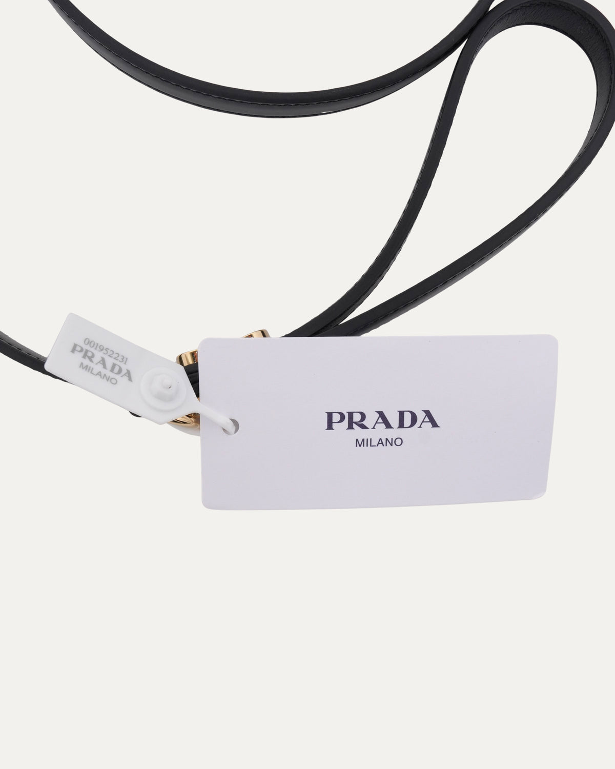 Leather Dog Leash