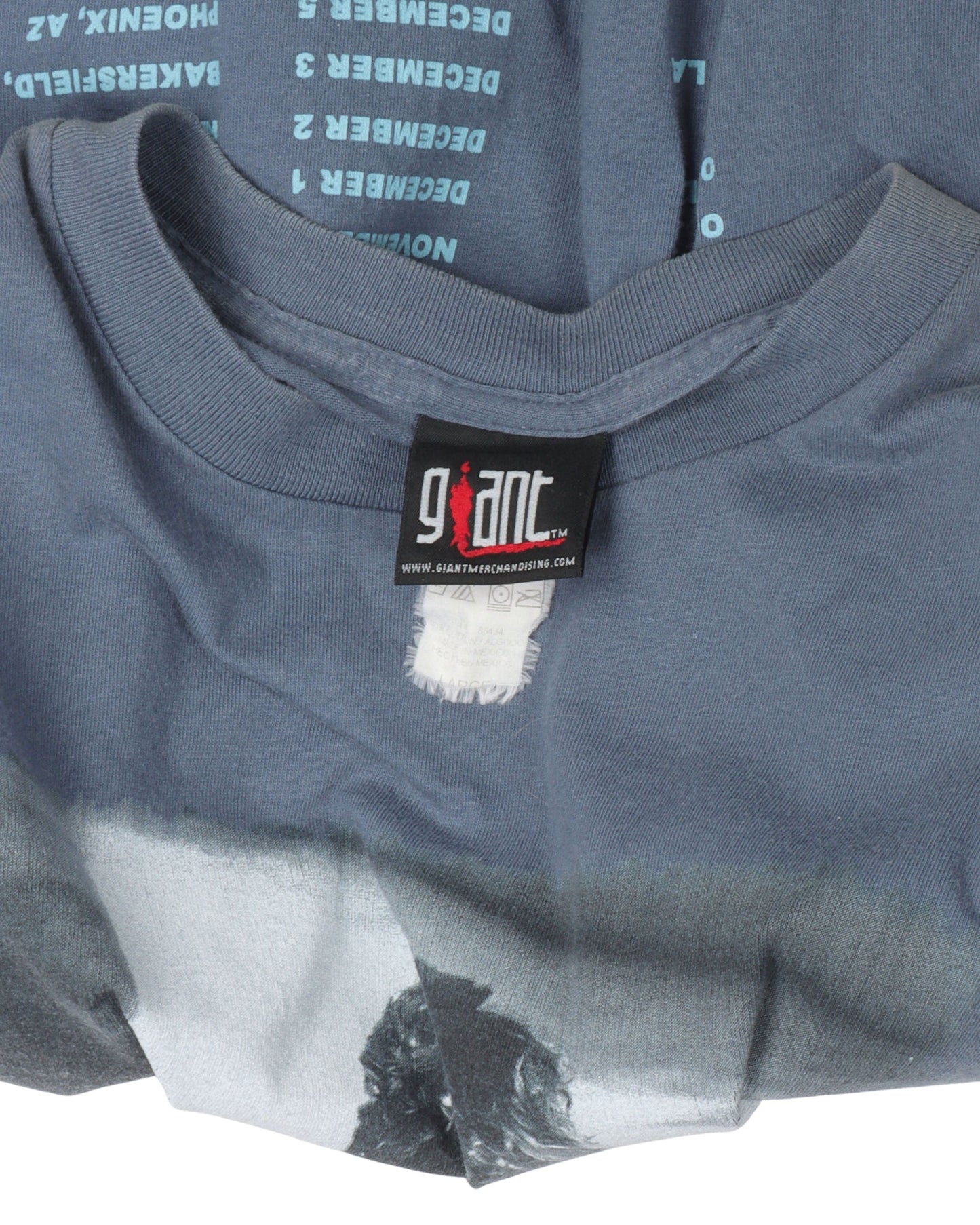 Tina Turner "Twenty Four Seven" Tour 2000 T-Shirt