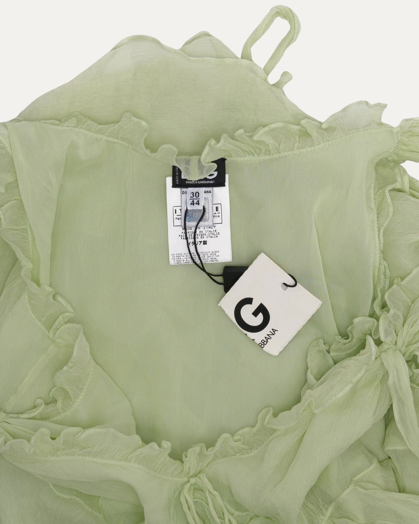 Sheer Ruffled Mini Dress