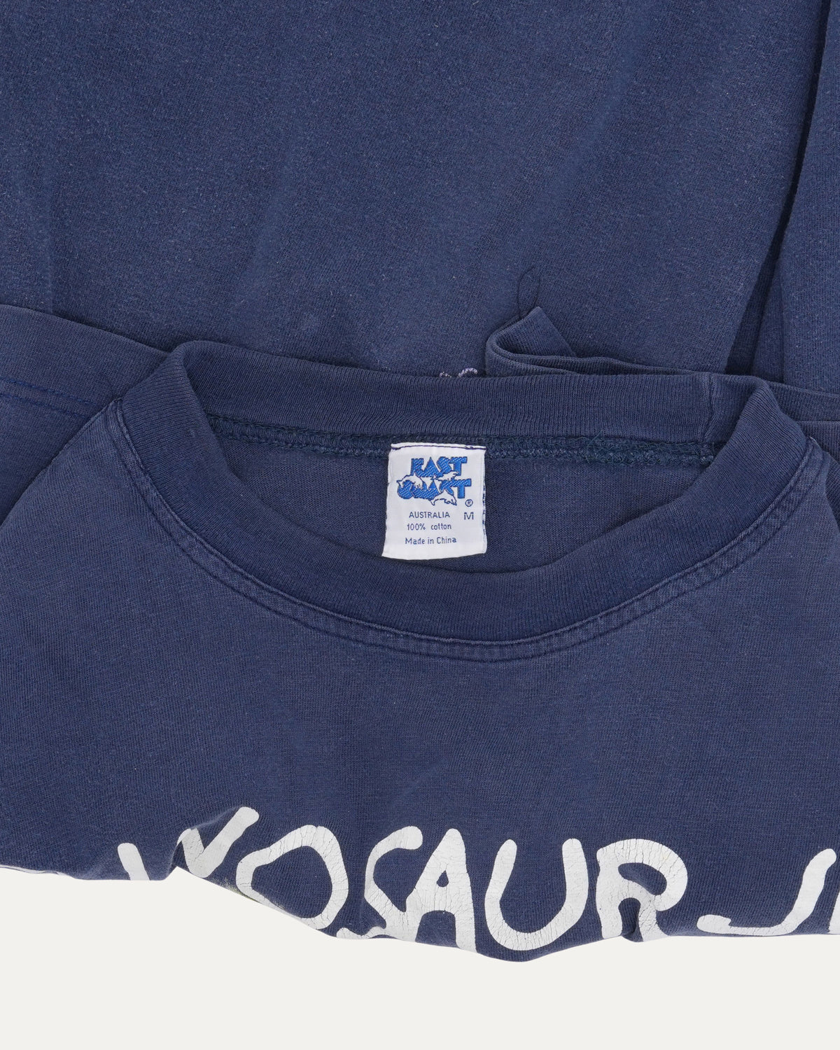 Dinosaur Jr. Feel the Pain Australia/Japan Tour 1995 T-Shirt