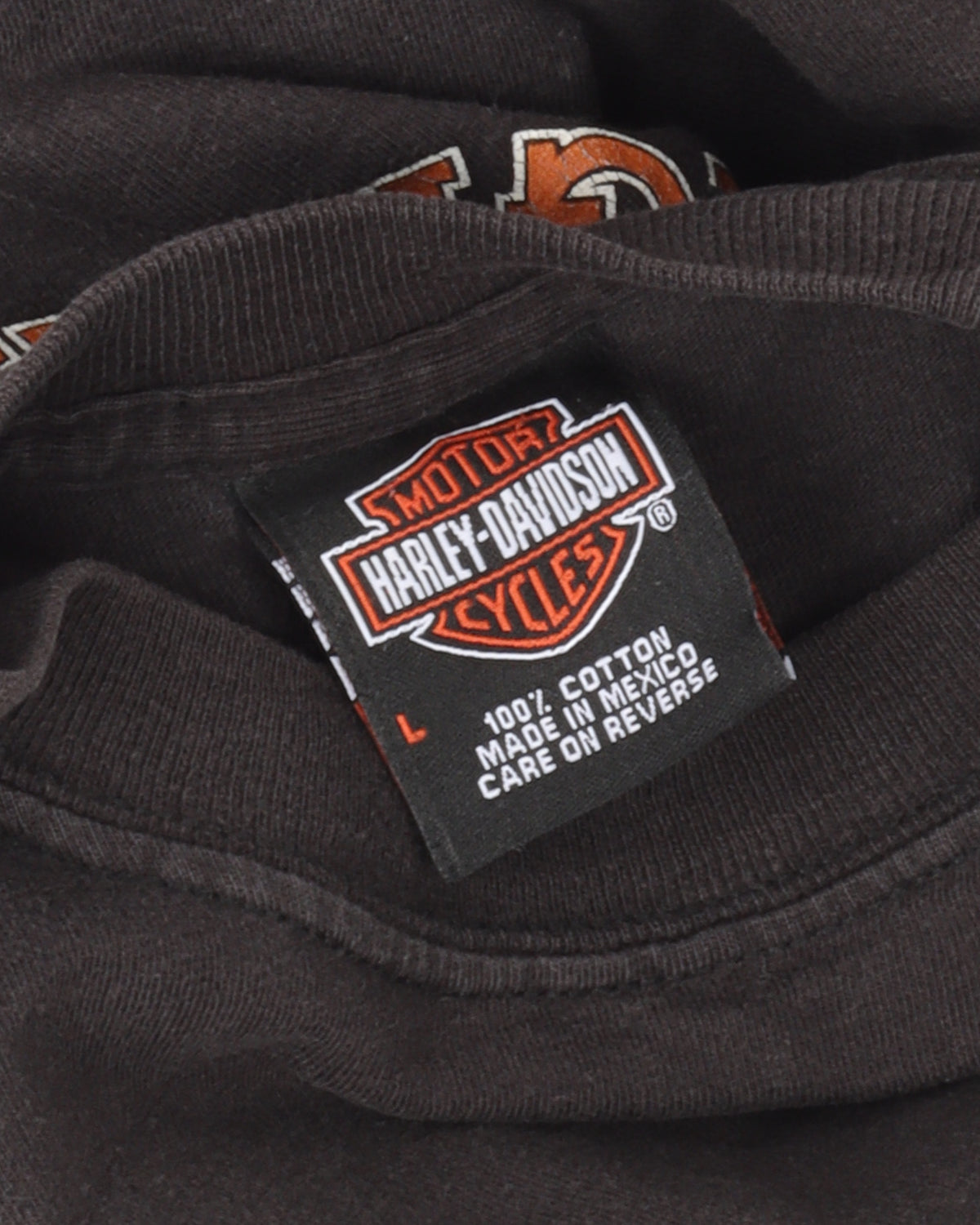 Harley Davidson Flames Long Sleeve T-Shirt