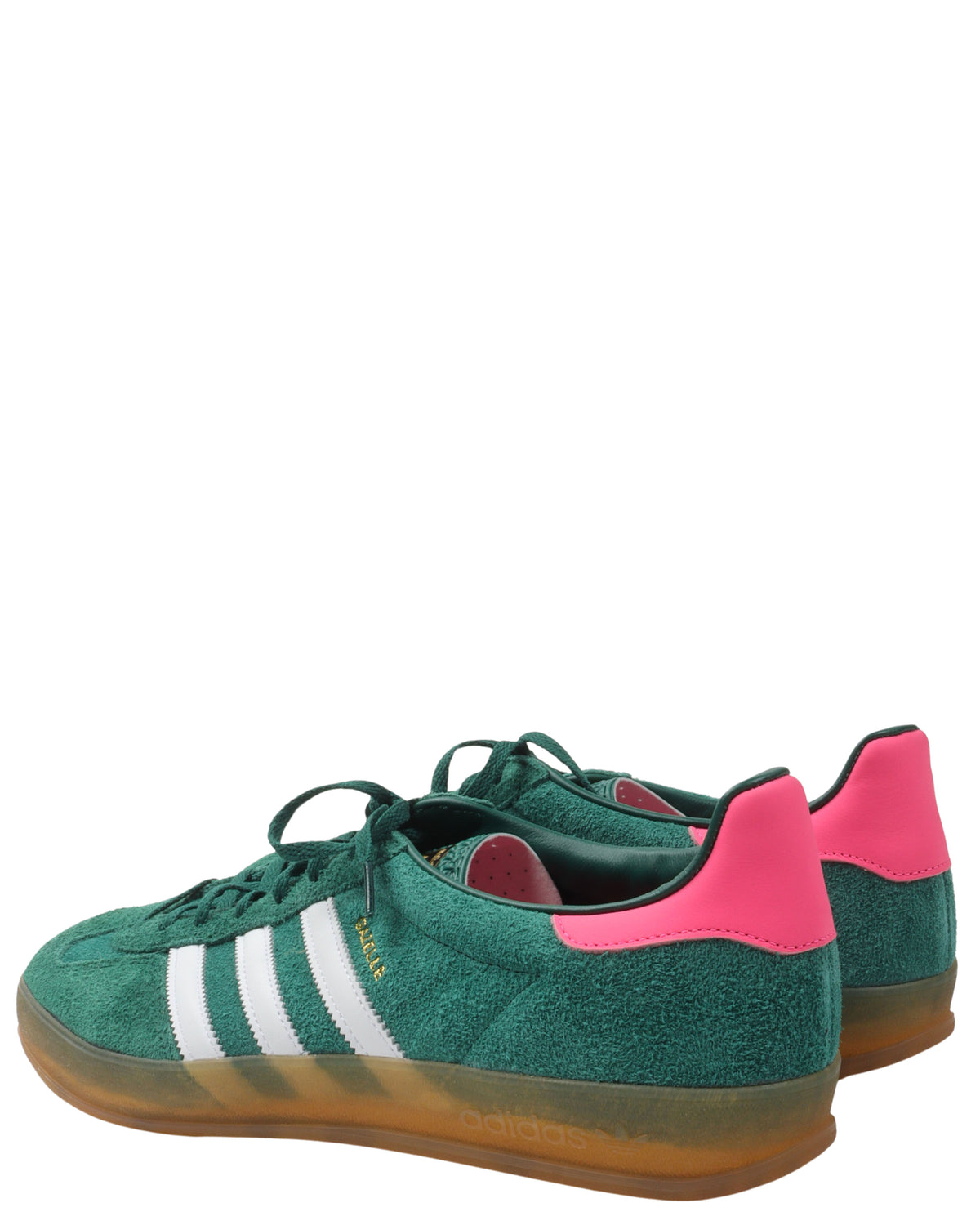 Gazelle Indoor Collegiate