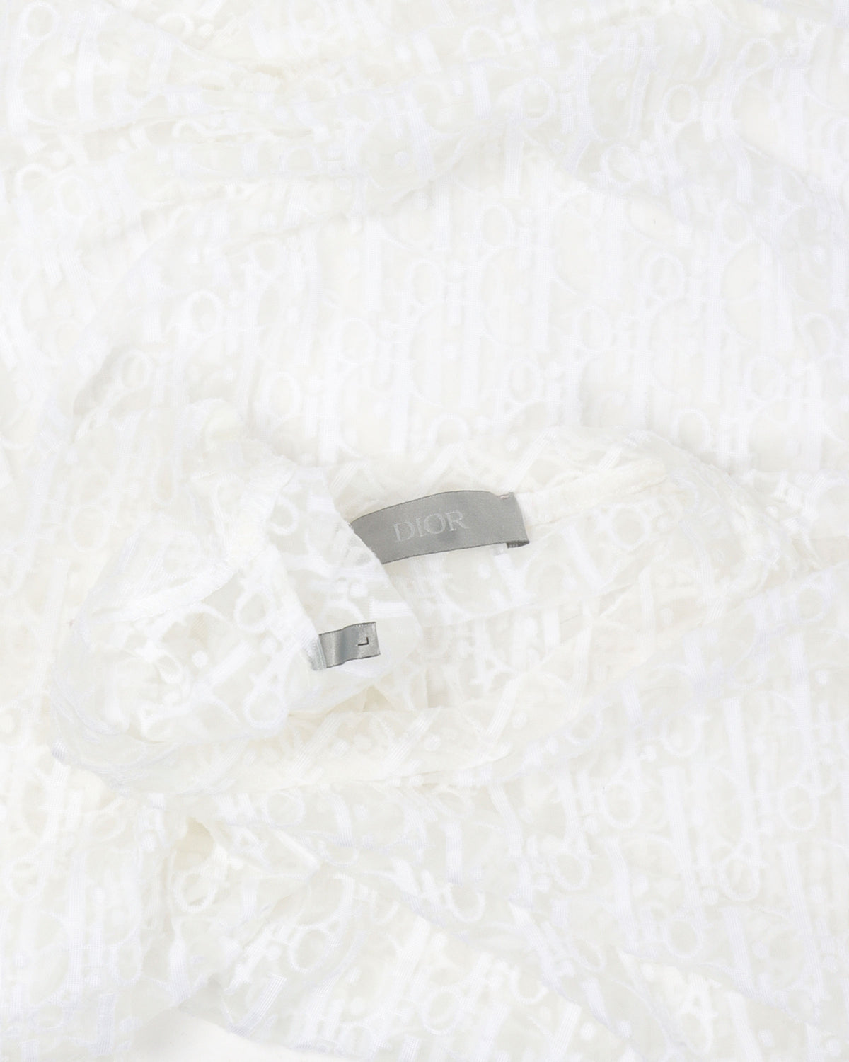 Oblique Transparent Shirt