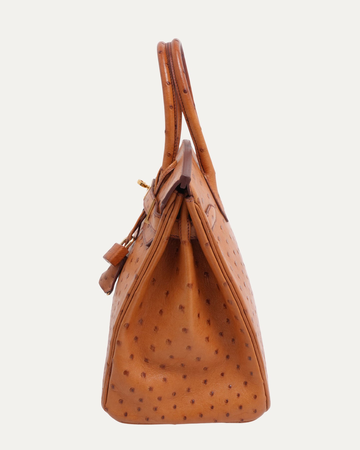Ostrich Birkin 30