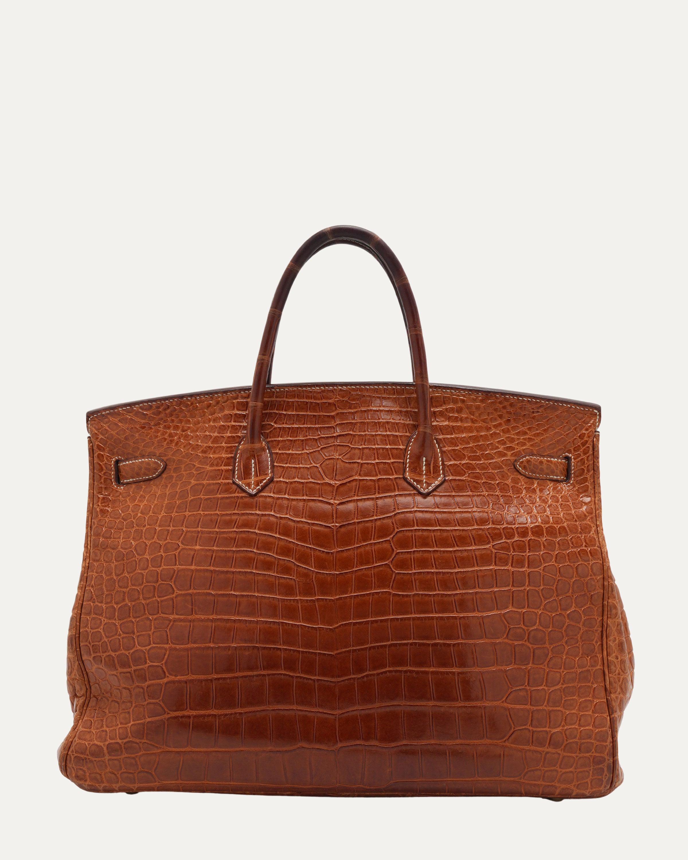 Matte Porosus Crocodile Birkin 40