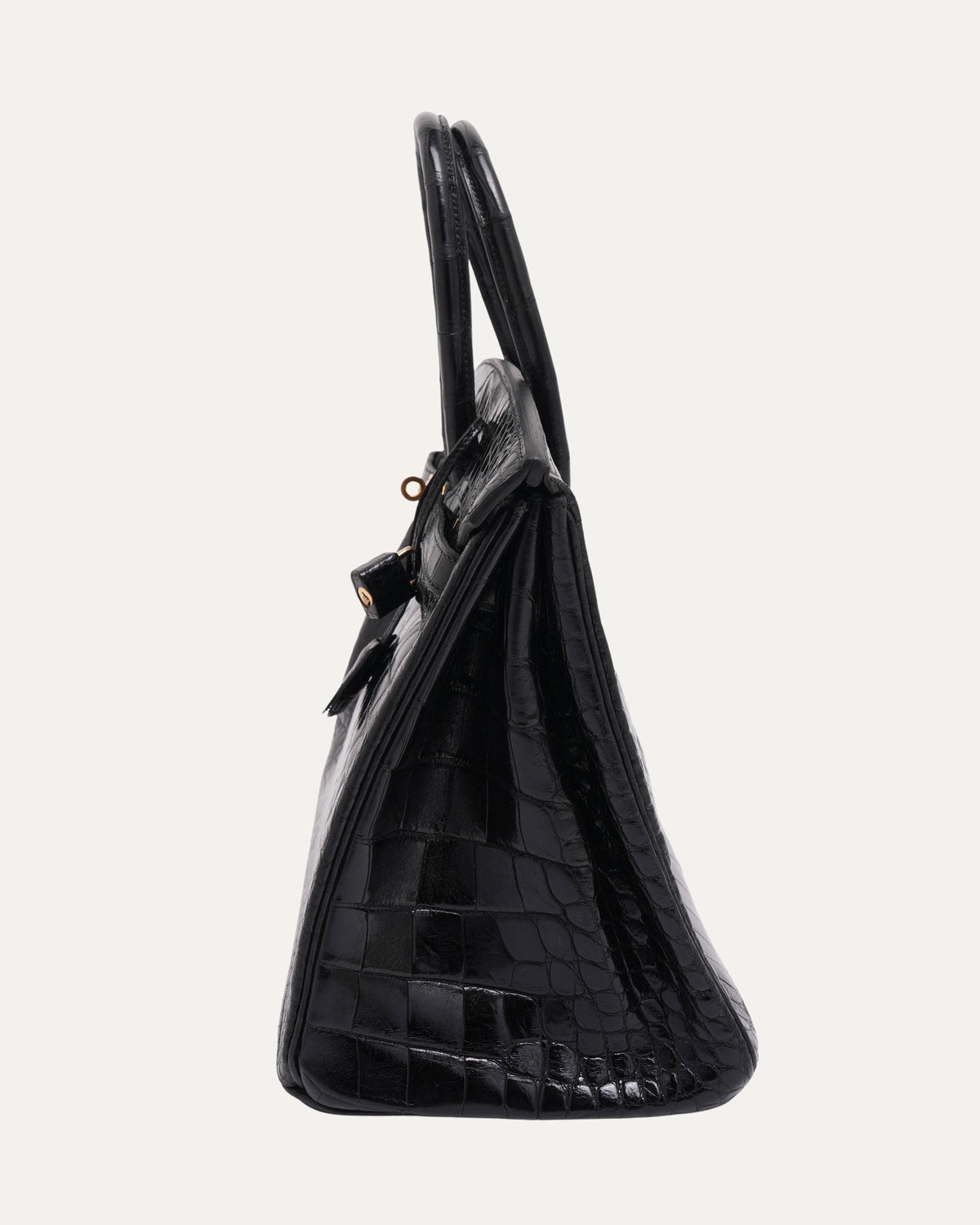 Shiny Porosus Crocodile Birkin 35