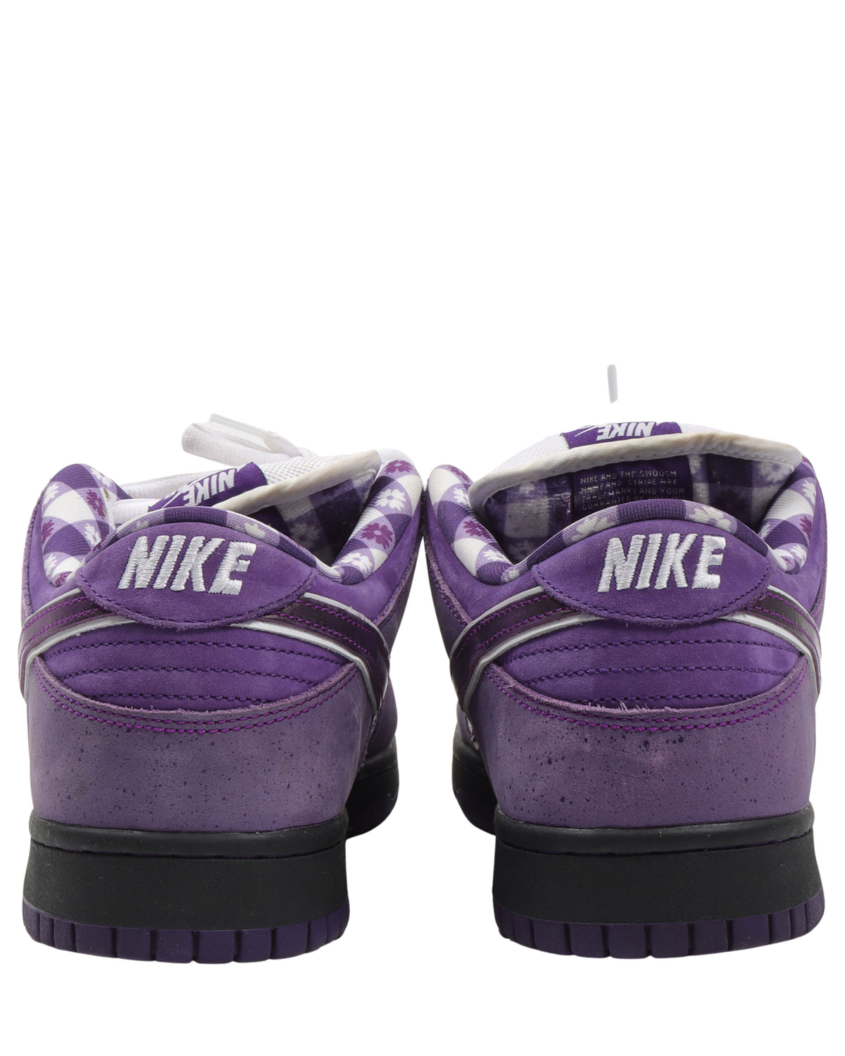 Concepts Purple Lobster SB Dunk