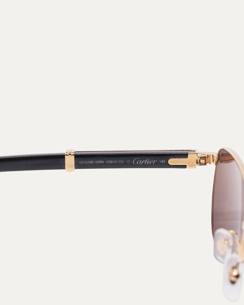 Buffalo Horn CT0363S Sunglasses