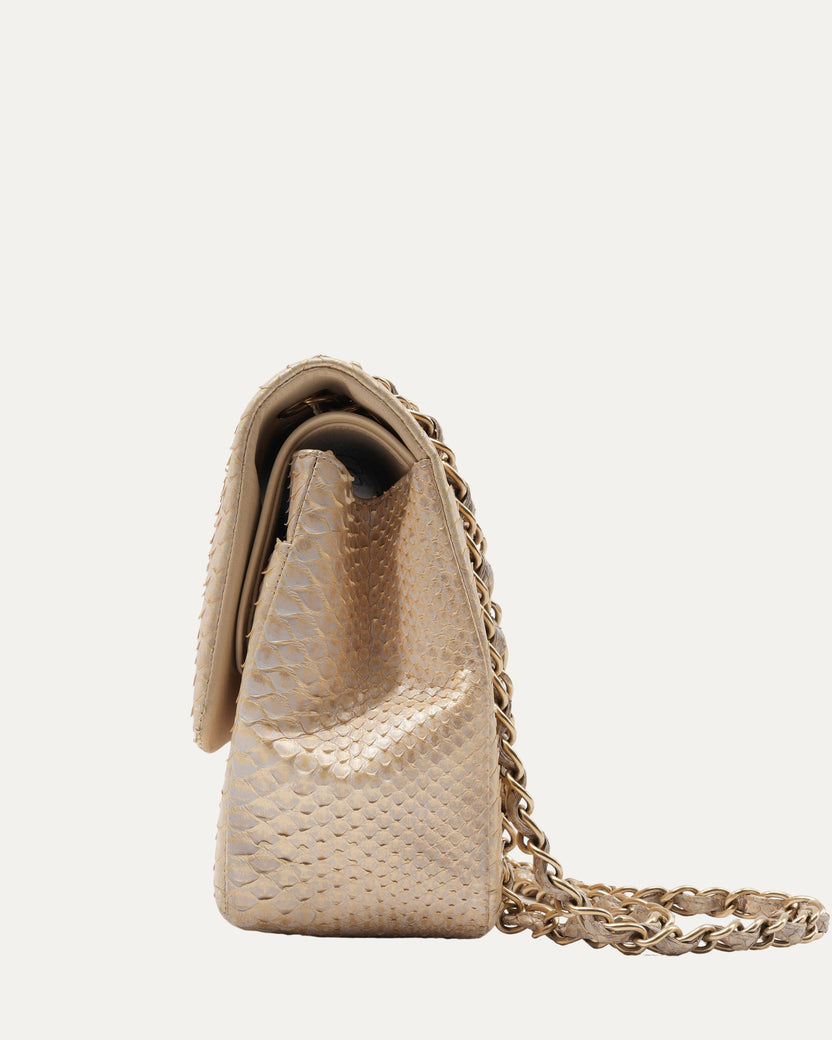 Python Clams Accordion Flap Bag