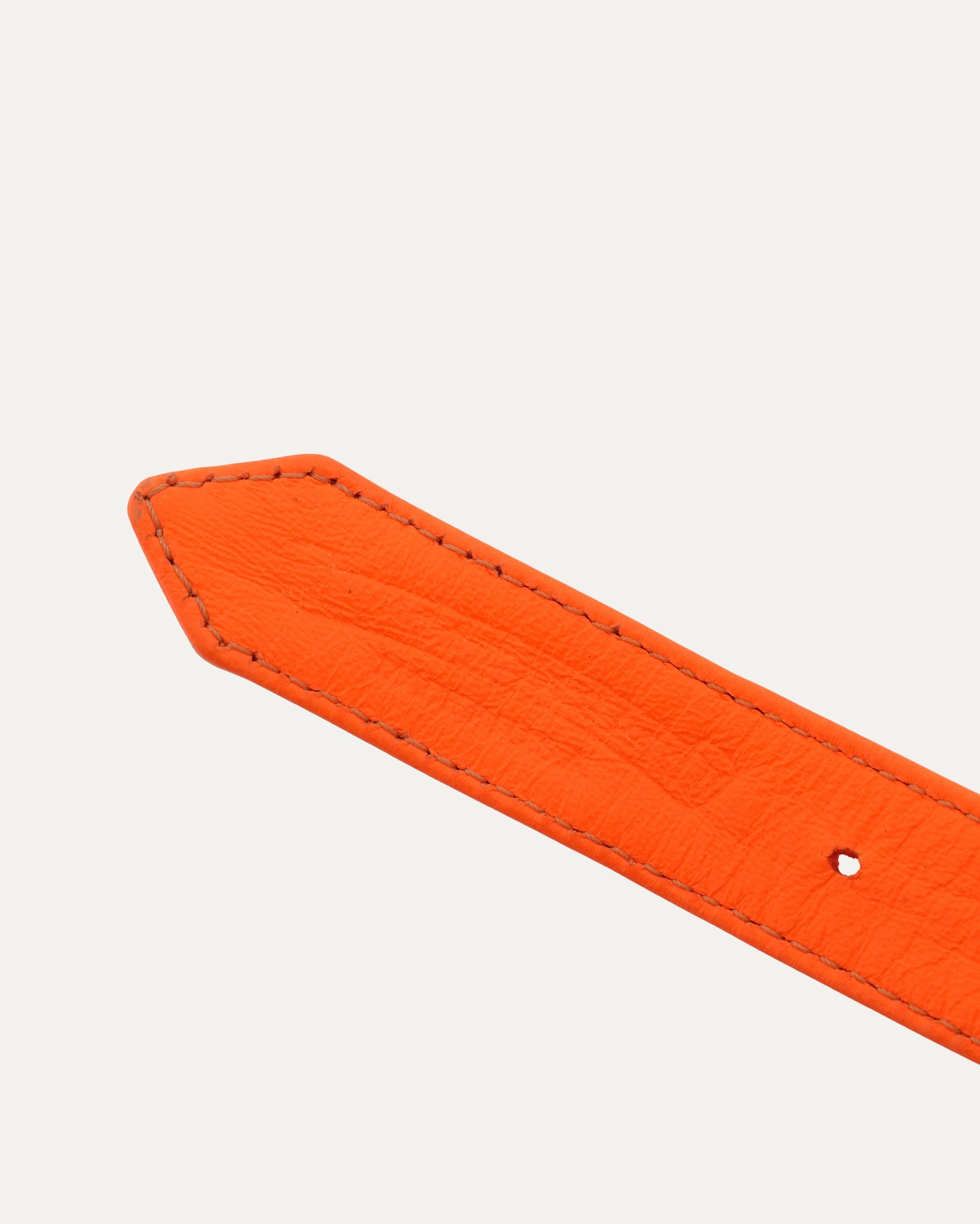 Studded Leather Dog Collar