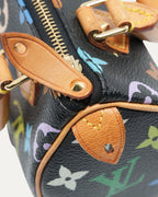 Murakami Multicolor Mini Speedy HL