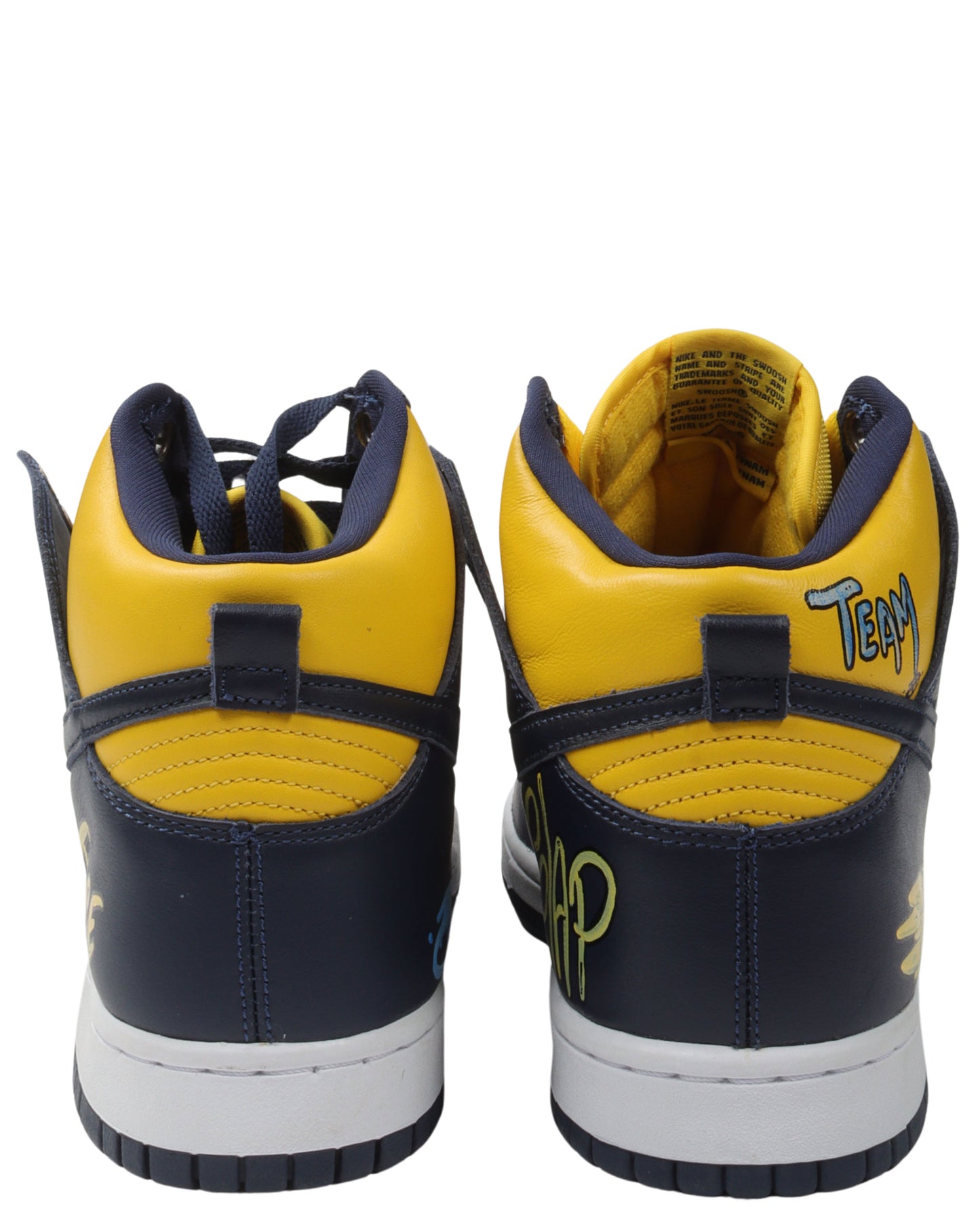 Matty Boy Nike Dunk High Michigan Shoes