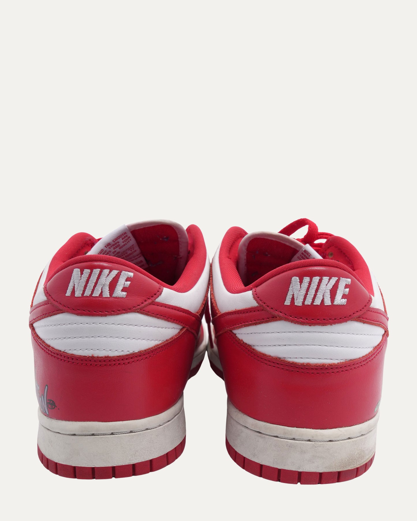 Painted Nike Dunk Low Sneakers