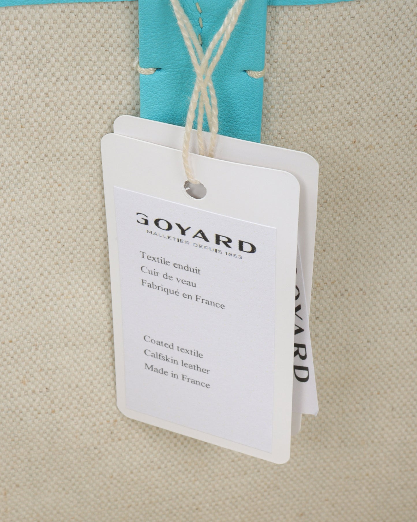 Goyardine Saint Louis PM Turquoise