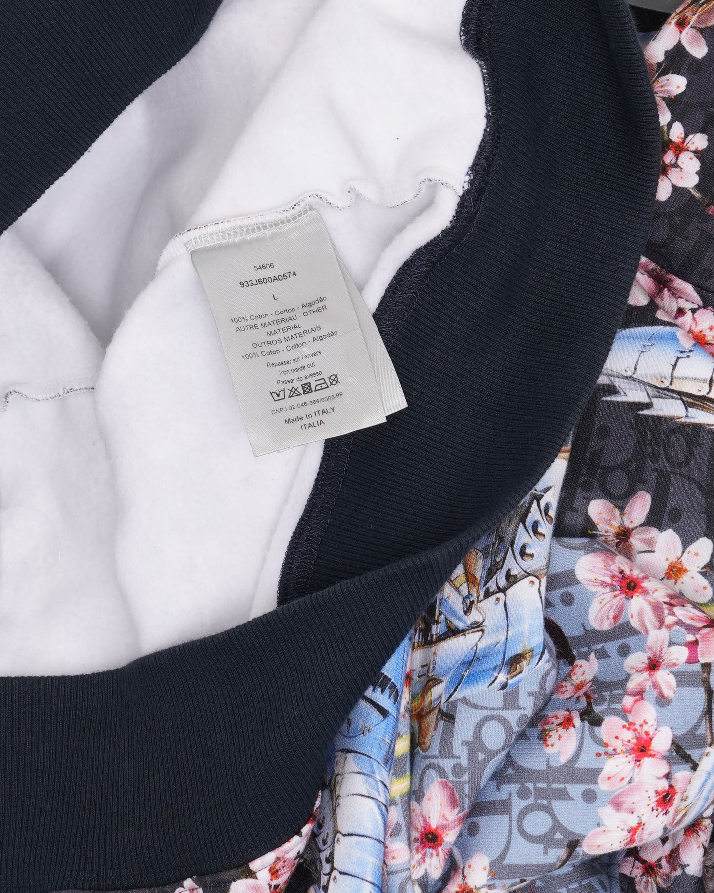 Sorayama Dinosaur Cherry Blossom Oblique Hoodie