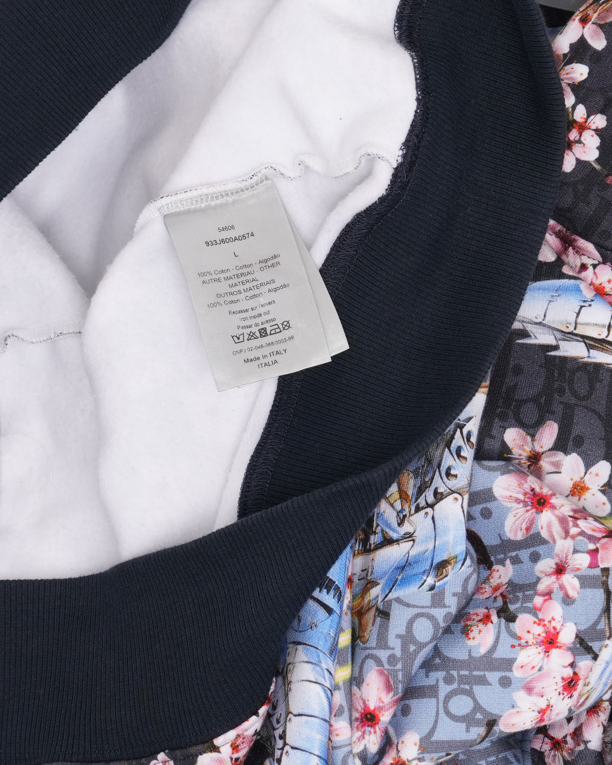 Sorayama Dinosaur Cherry Blossom Oblique Hoodie