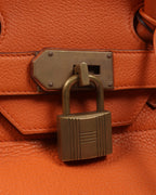 Togo Birkin 50