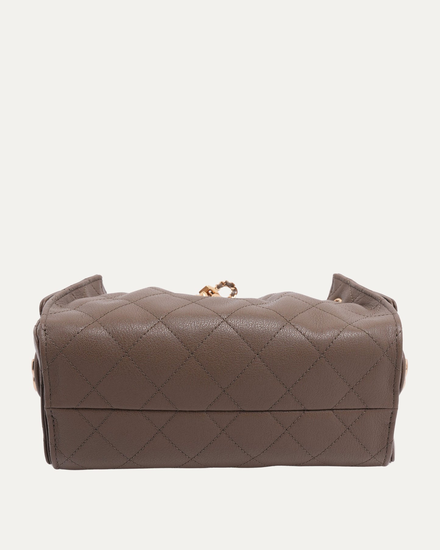 Caviar Leather Quilted Mini 25 Hobo Bag