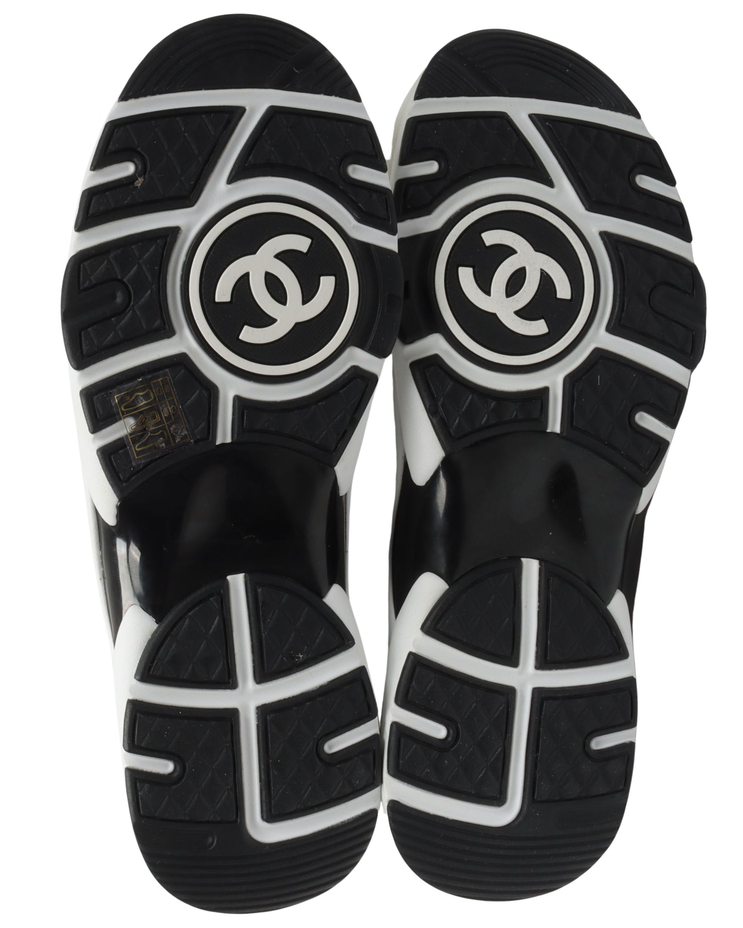 CC Mesh Trainer