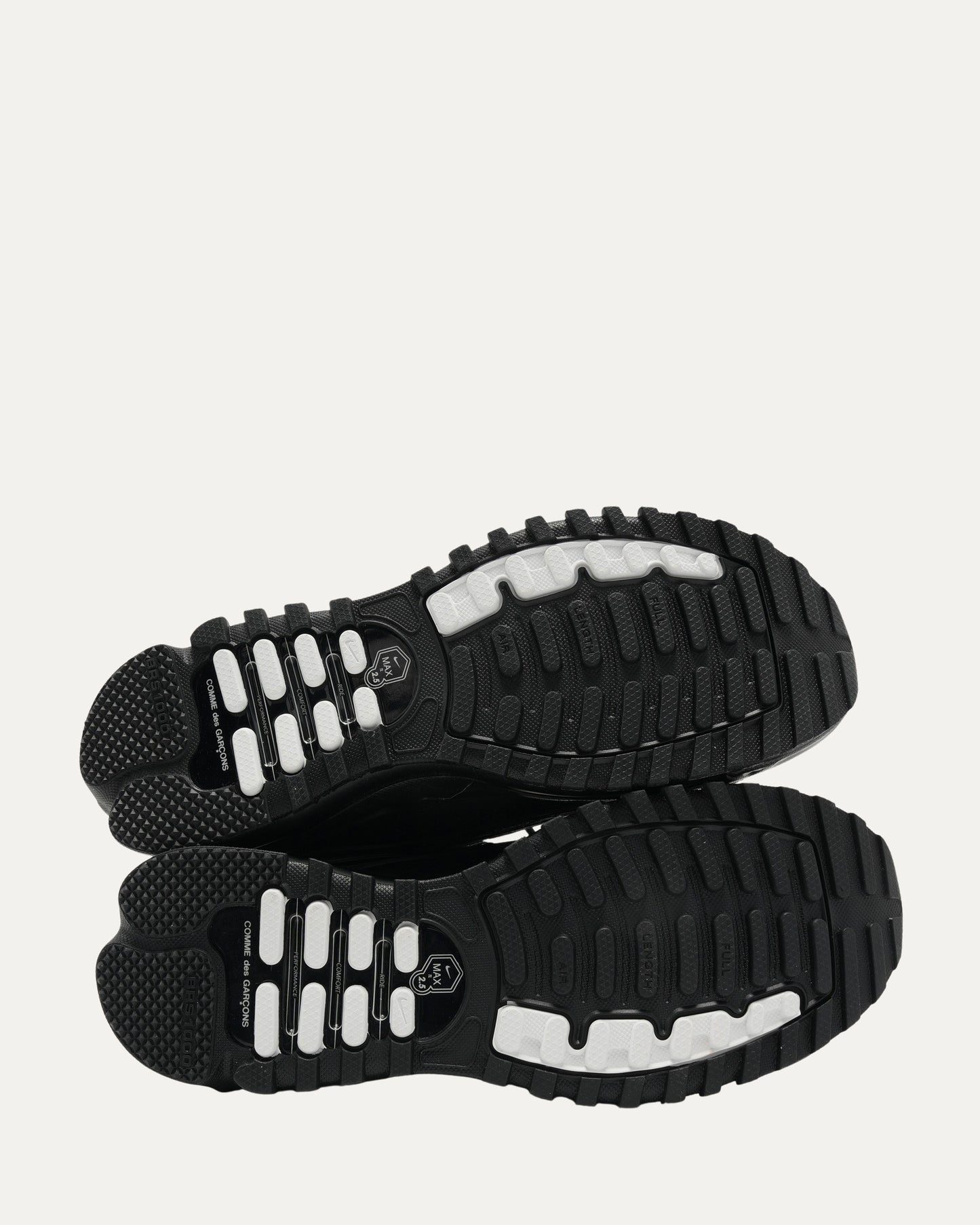 Comme Des Garçons Homme Plus Air Max TL 2.5