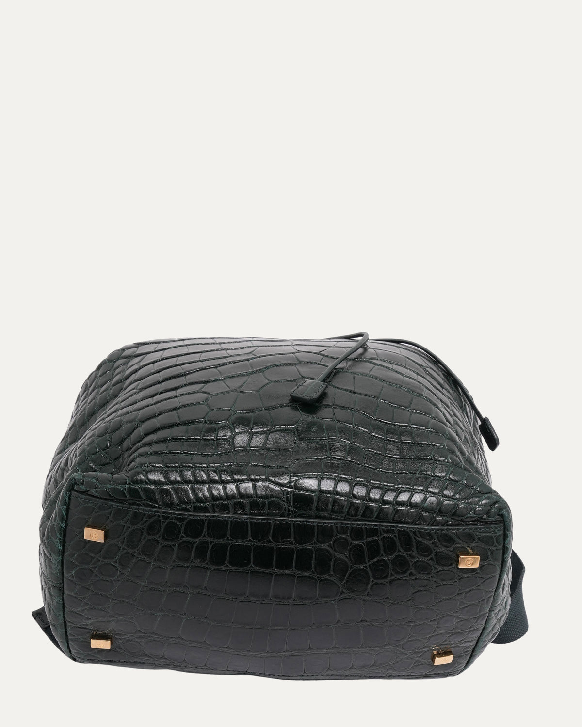 Alligator Backpack
