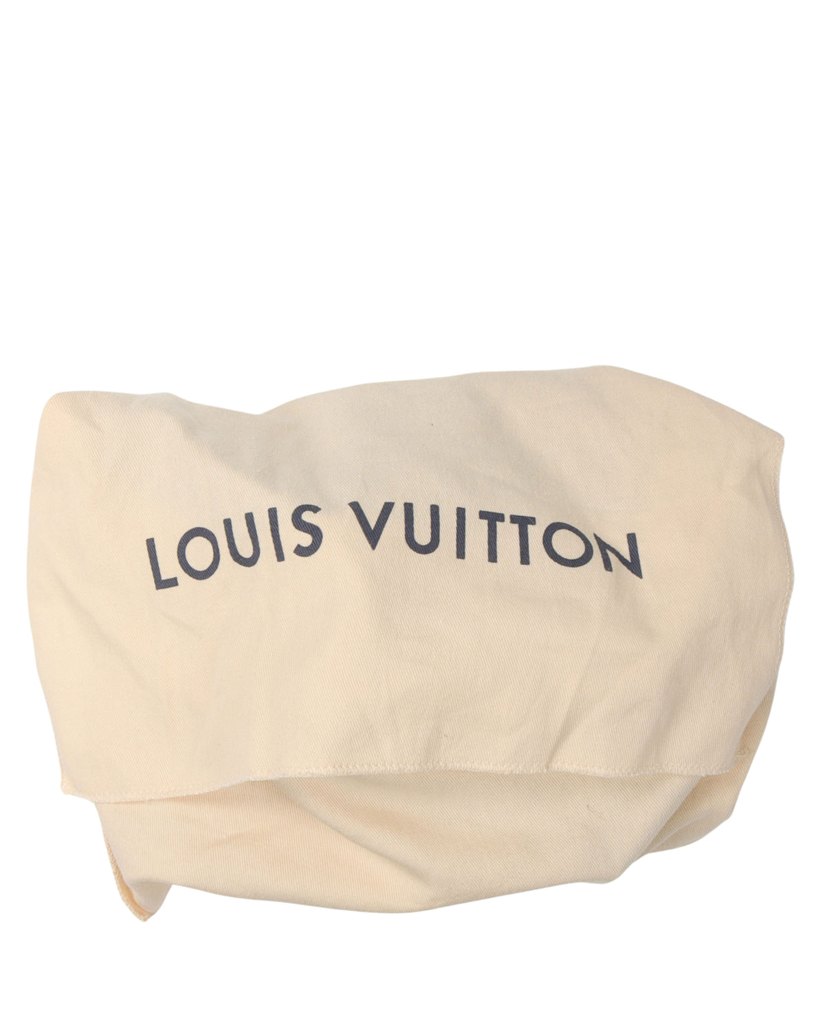 Damier Salt Canvas Trunk Bag