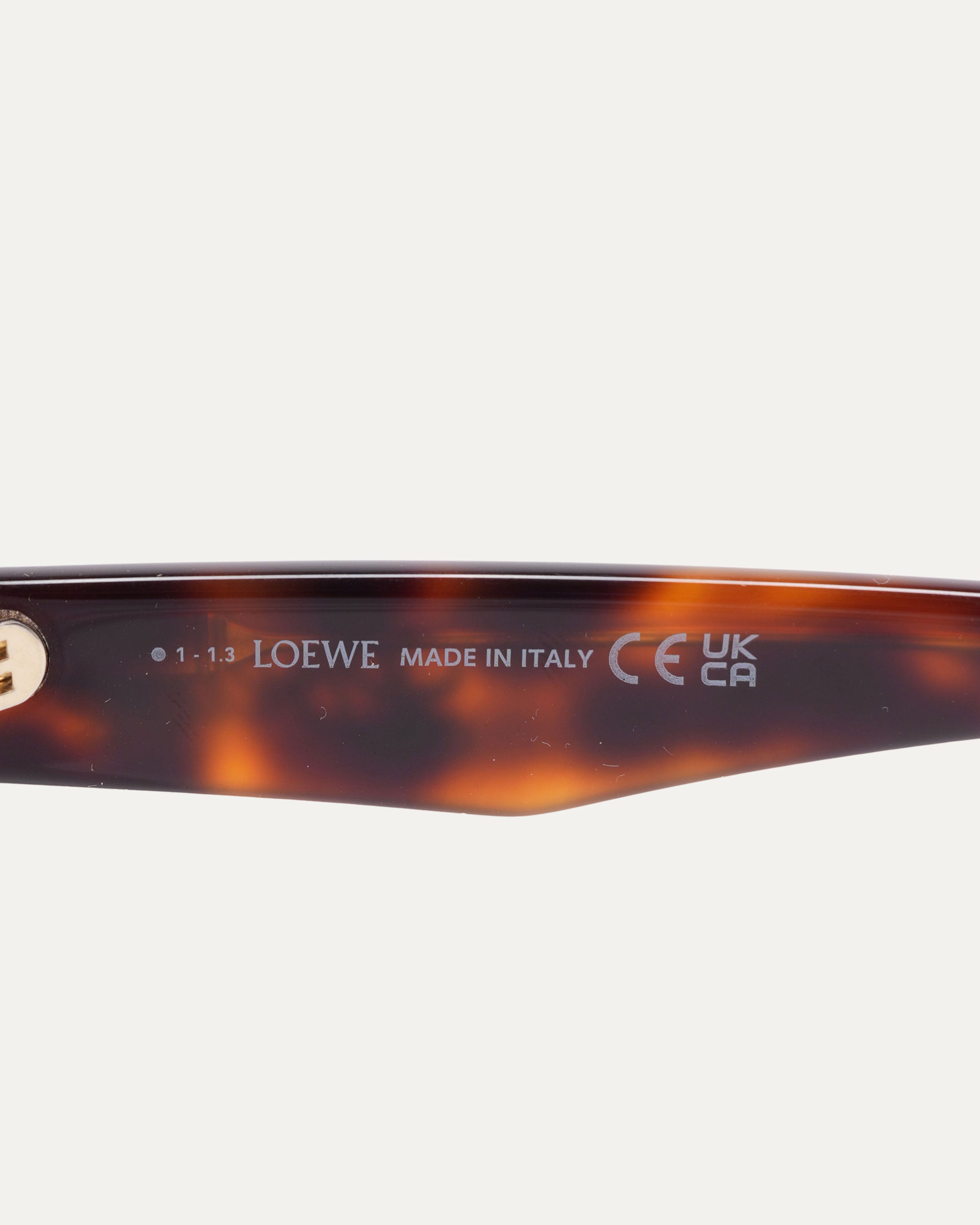 LW40105I Glasses