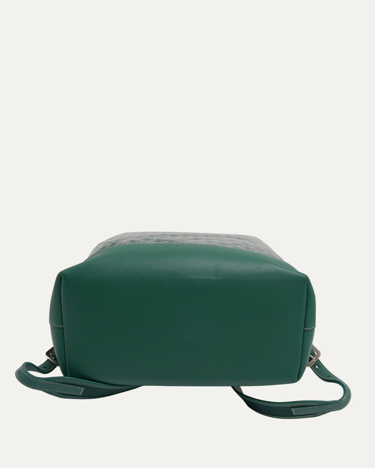 Cisalpin Backpack
