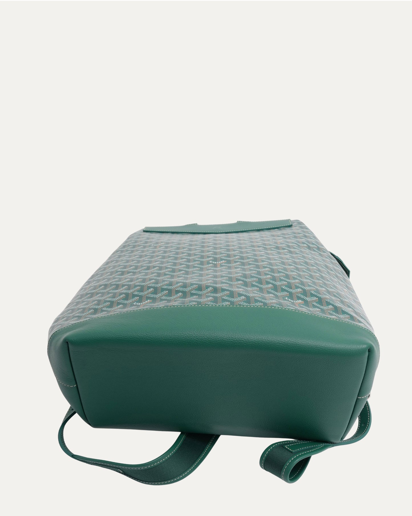 Cisalpin Backpack
