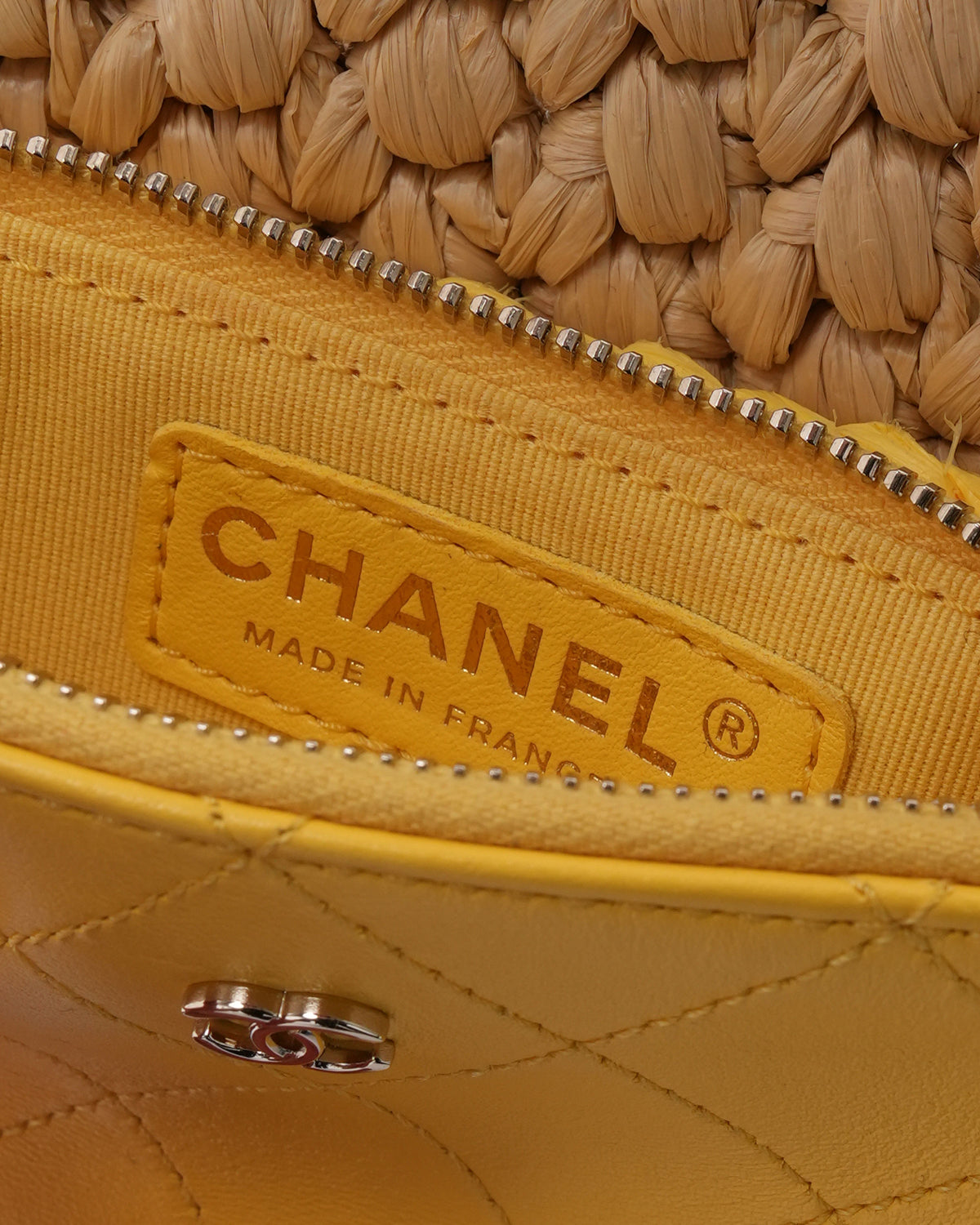 Raffia Chain Venice Beach Mini Flap Bag