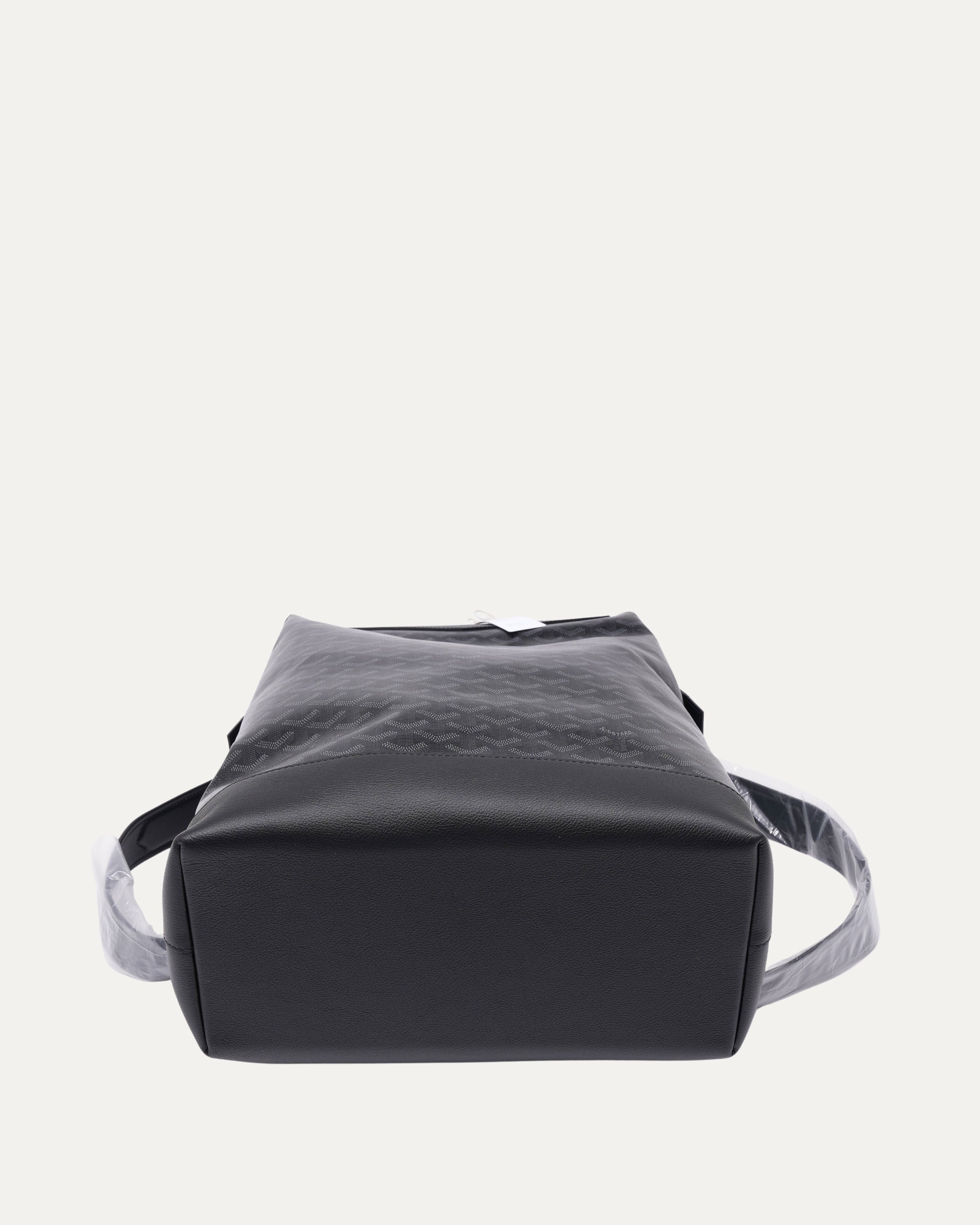 Cisalpin Backpack