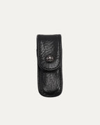 Toothpick Set and Case