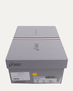 ASICS Gel Kayano 14