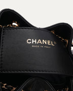 Caviar Quilted Mini 25 Hobo Bag