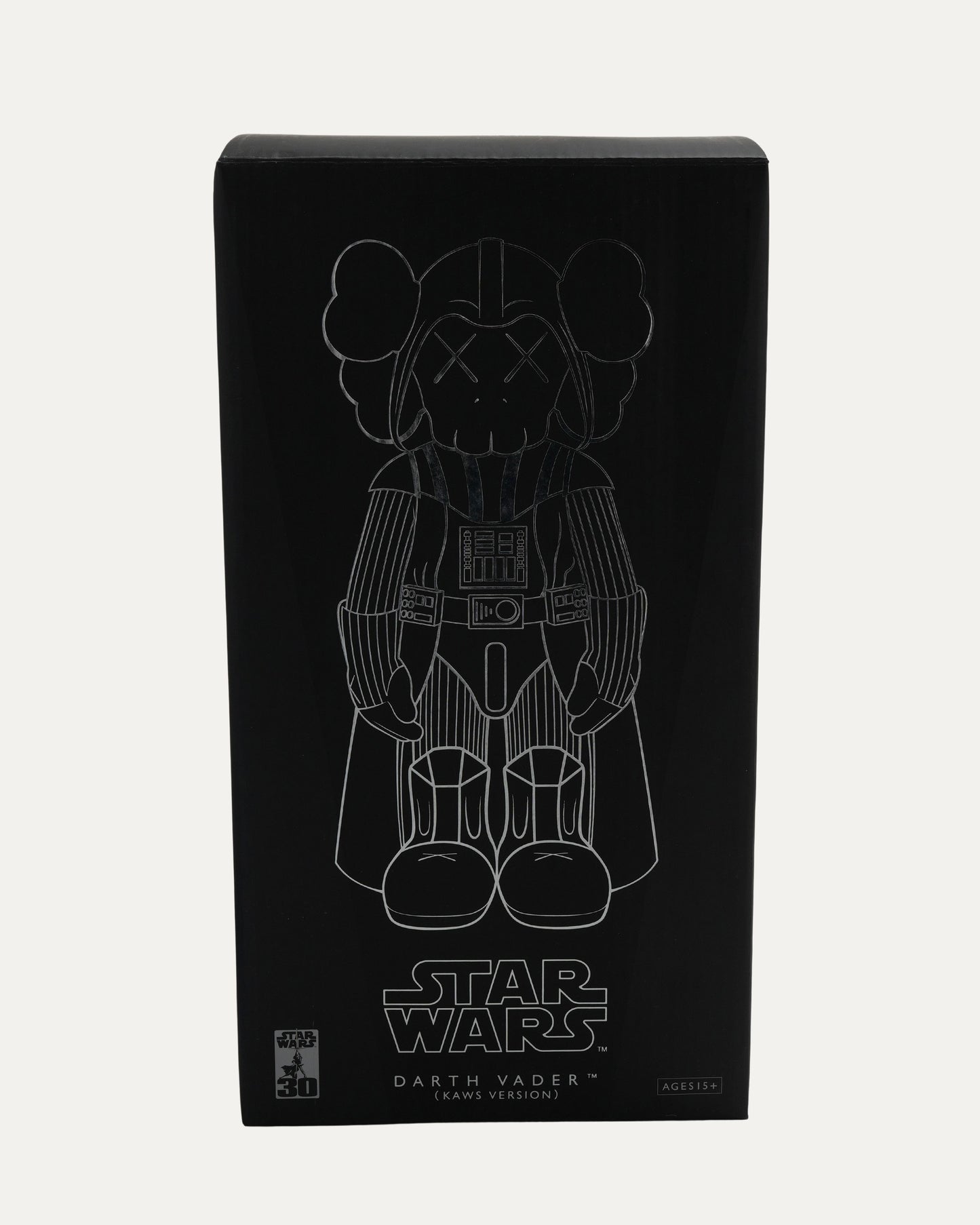 Star Wars Darth Vader Companion