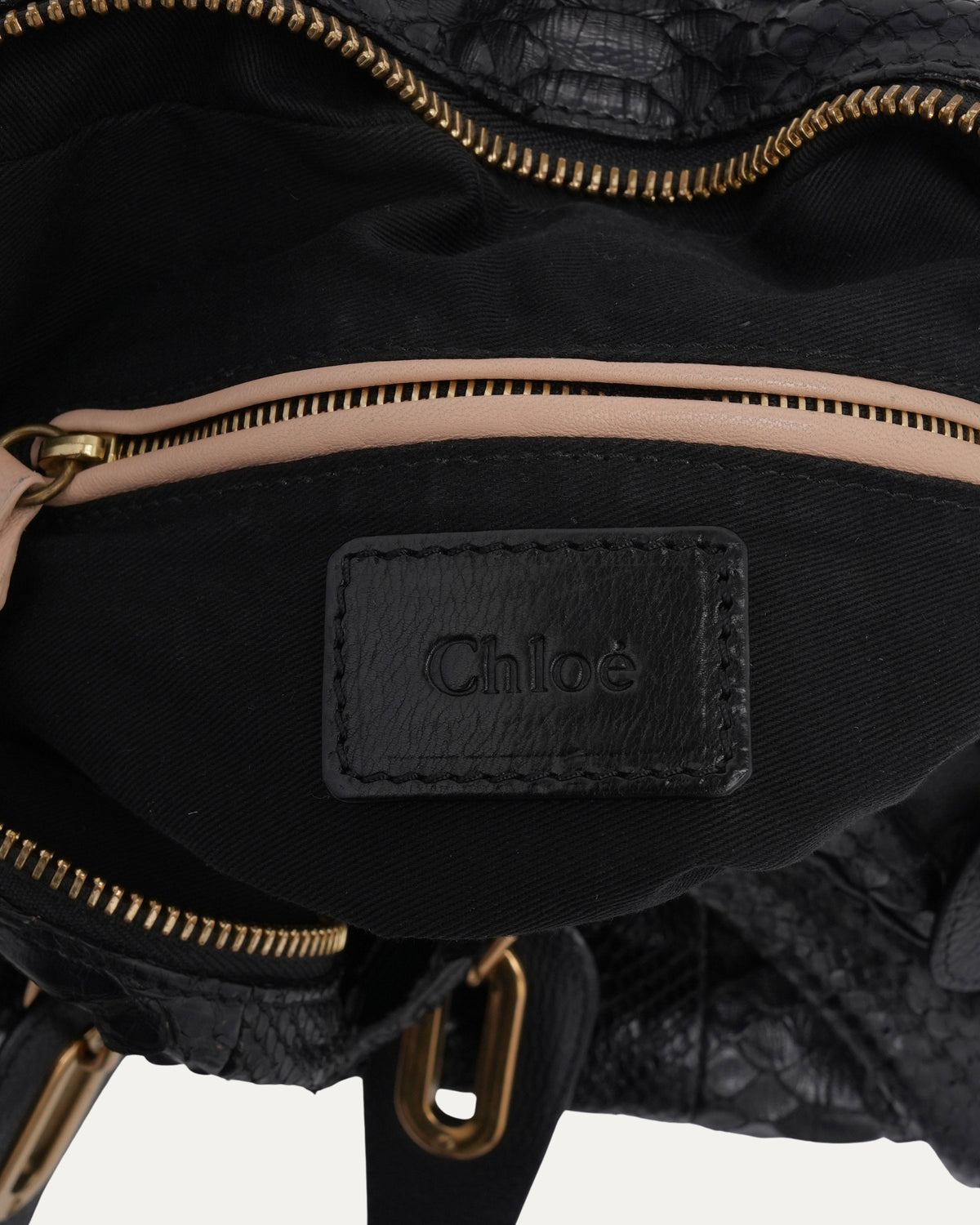Python Paraty Bag