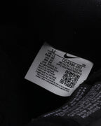SB Dunk Low Wasted Youth