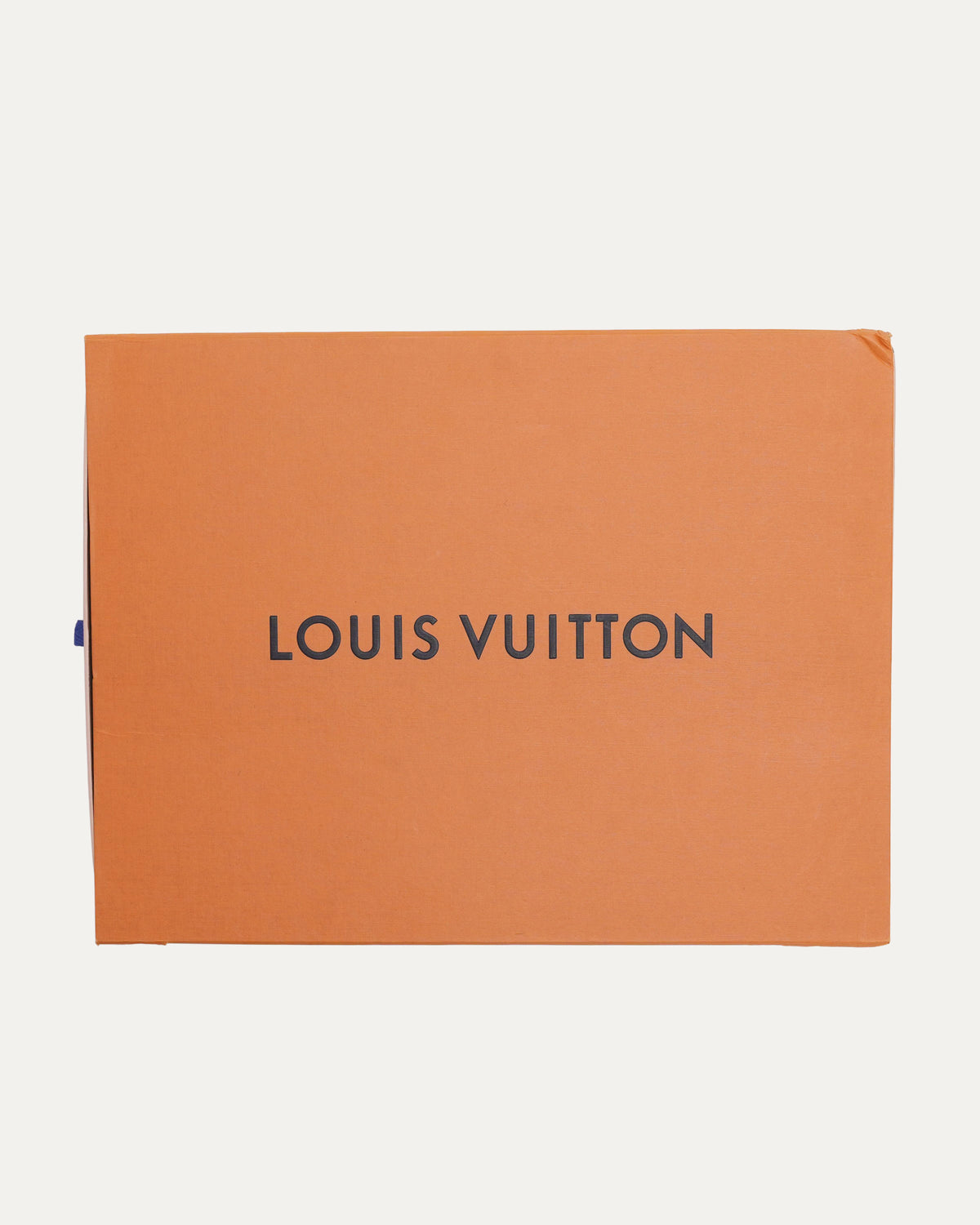 Upcycled LV Trainers