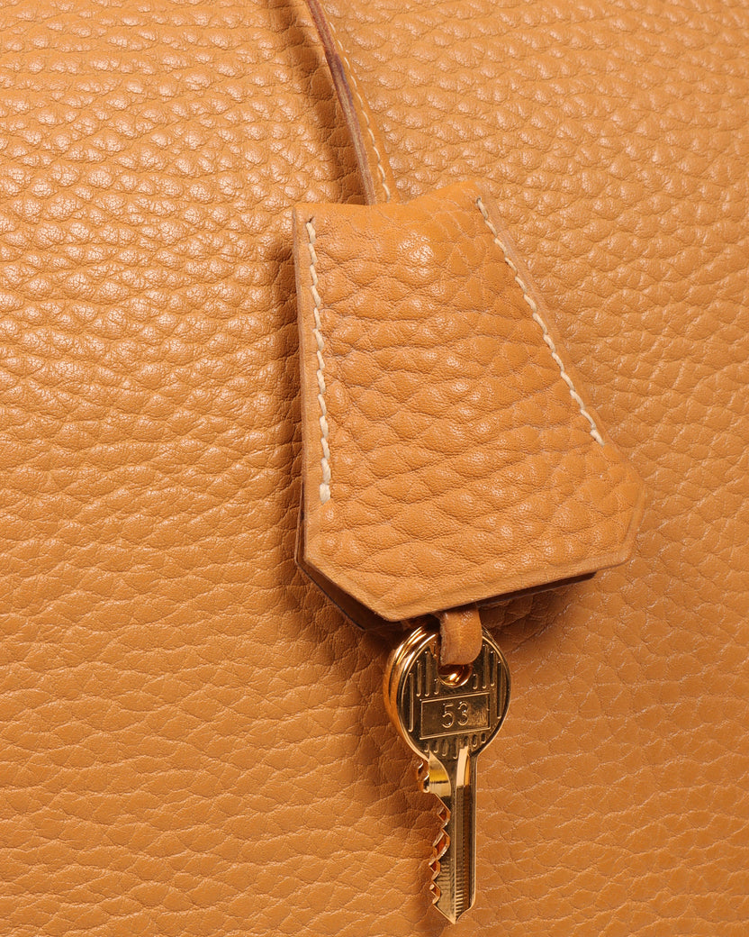 Hermes Birkin Handbag Natural Sable Fjord with Gold Hardware 35