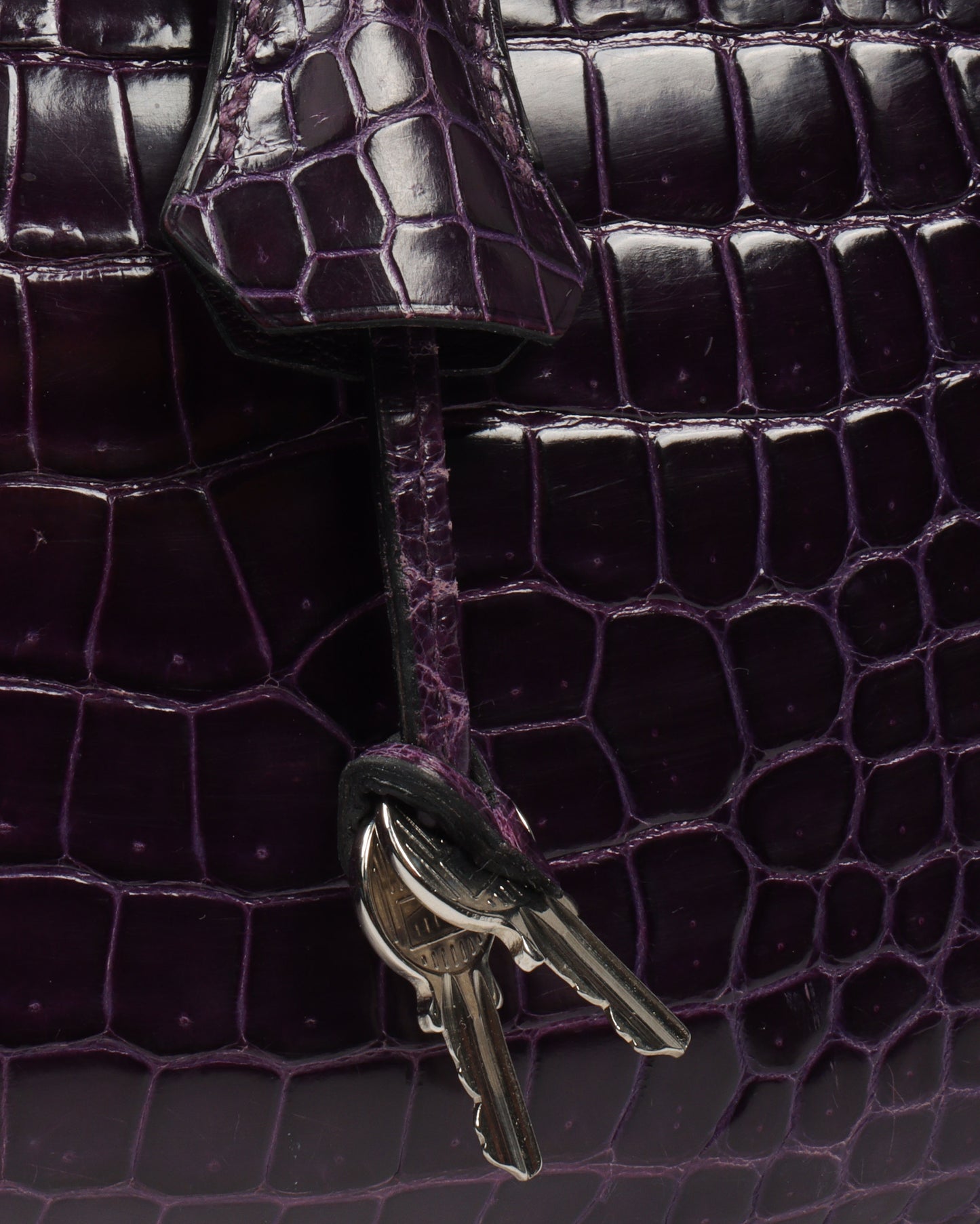 Croc Birkin Bag 35