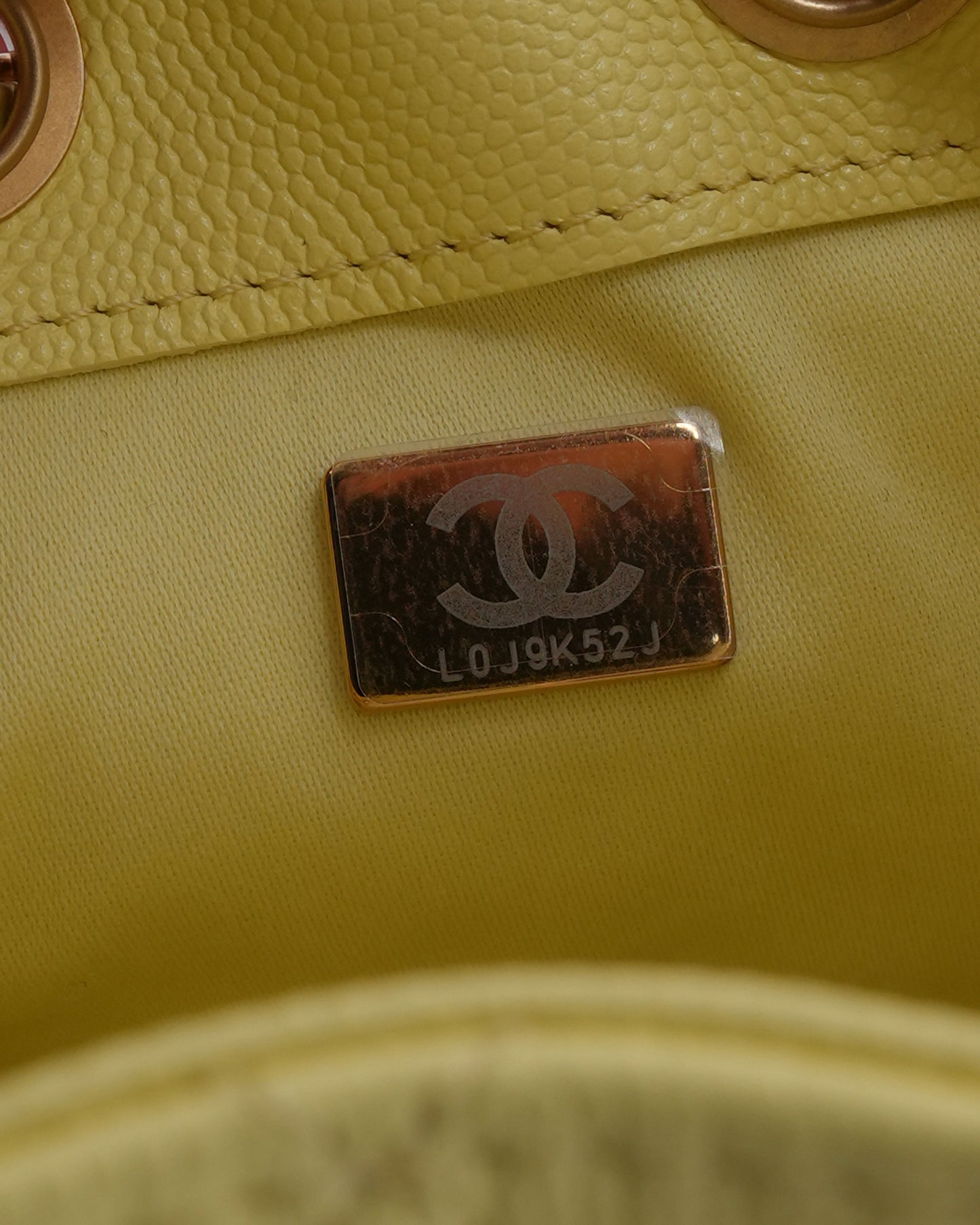 Caviar Leather Quilted Mini 25 Hobo Bag